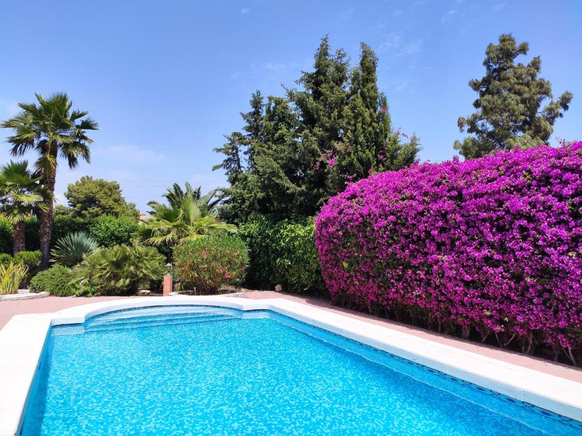 Villa With Private Pool, Bbq, Fitness Center & Sauna San Vicente Raspeig Екстериор снимка