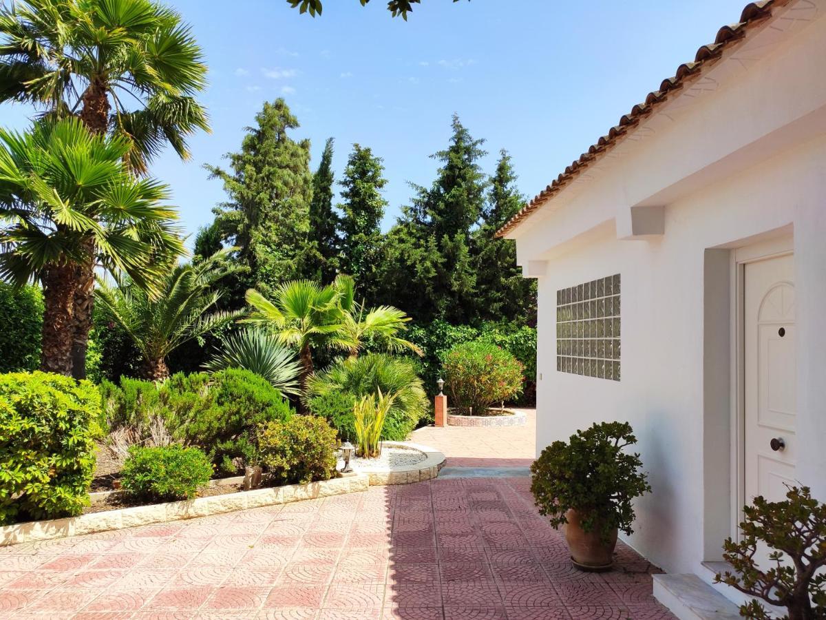 Villa With Private Pool, Bbq, Fitness Center & Sauna San Vicente Raspeig Екстериор снимка