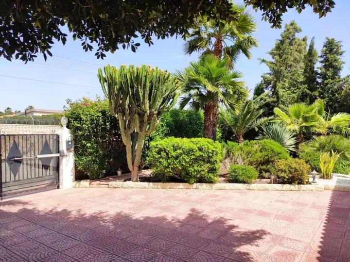Villa With Private Pool, Bbq, Fitness Center & Sauna San Vicente Raspeig Екстериор снимка